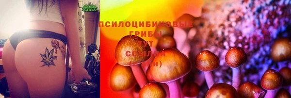 марки nbome Губаха